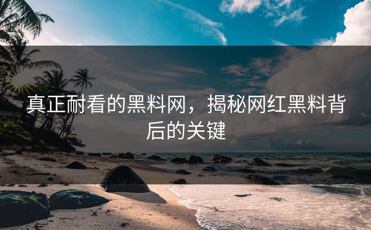 真正耐看的黑料网，揭秘网红黑料背后的关键