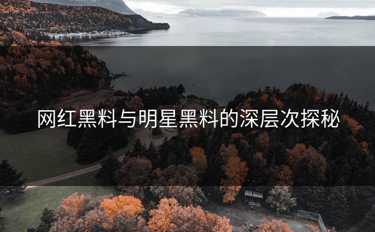 网红黑料与明星黑料的深层次探秘
