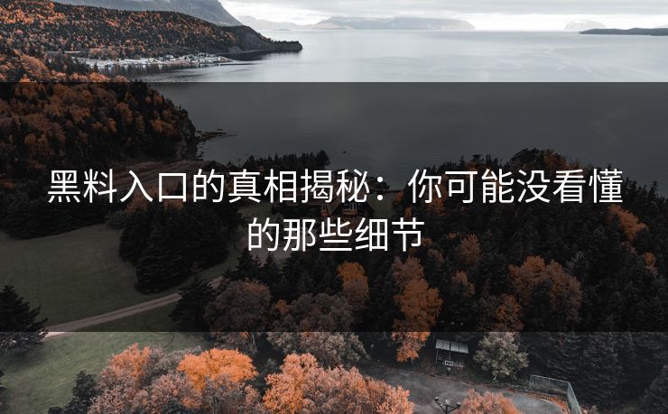 黑料入口的真相揭秘：你可能没看懂的那些细节