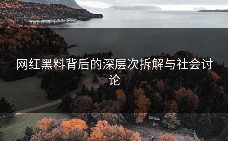 网红黑料背后的深层次拆解与社会讨论